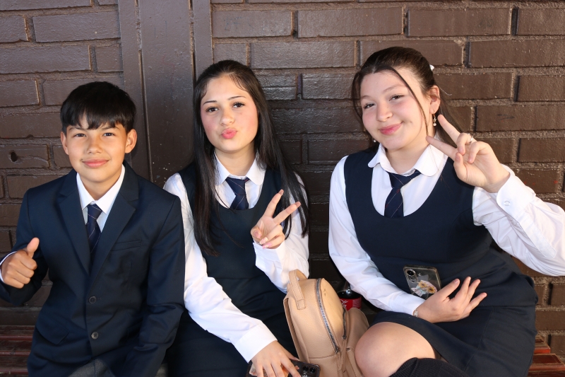 Licenciatura de los Octavos Años Básicos