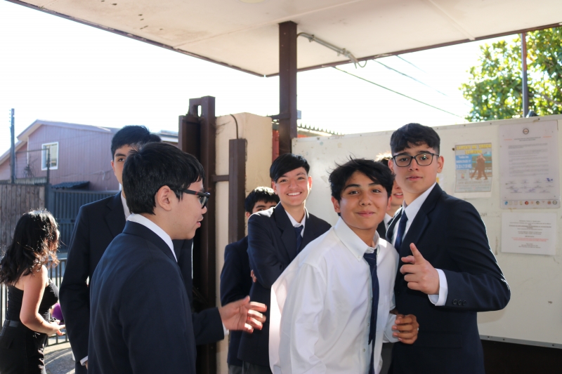 Licenciatura de los Octavos Años Básicos