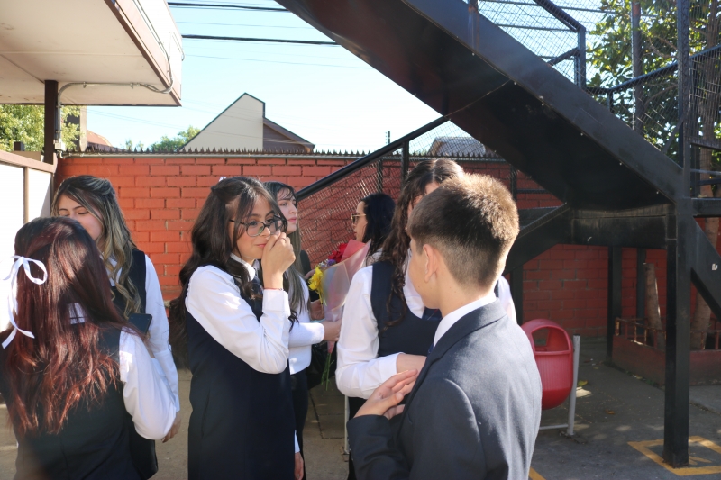 Licenciatura de los Octavos Años Básicos