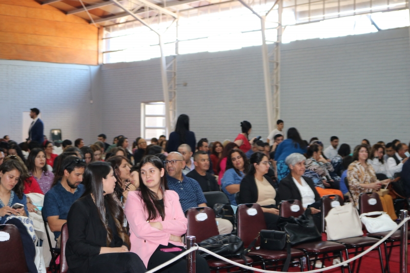 Licenciatura de los Octavos Años Básicos