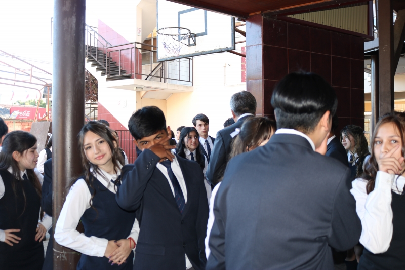 Licenciatura de los Octavos Años Básicos