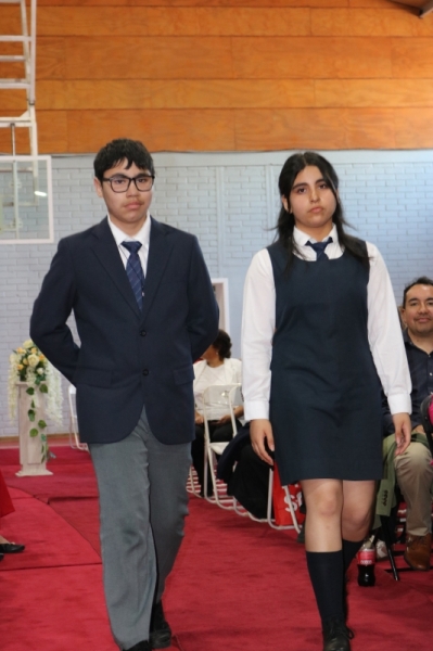 Licenciatura de los Octavos Años Básicos