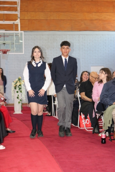 Licenciatura de los Octavos Años Básicos