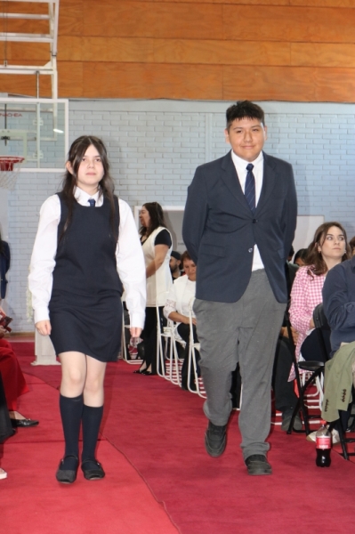 Licenciatura de los Octavos Años Básicos