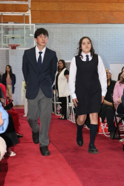 Licenciatura de los Octavos Años Básicos