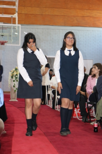 Licenciatura de los Octavos Años Básicos