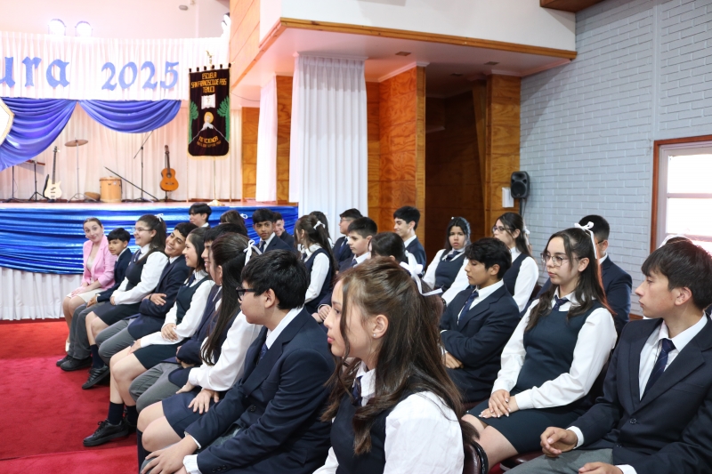 Licenciatura de los Octavos Años Básicos