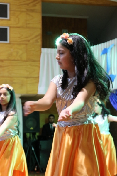 Licenciatura de los Octavos Años Básicos