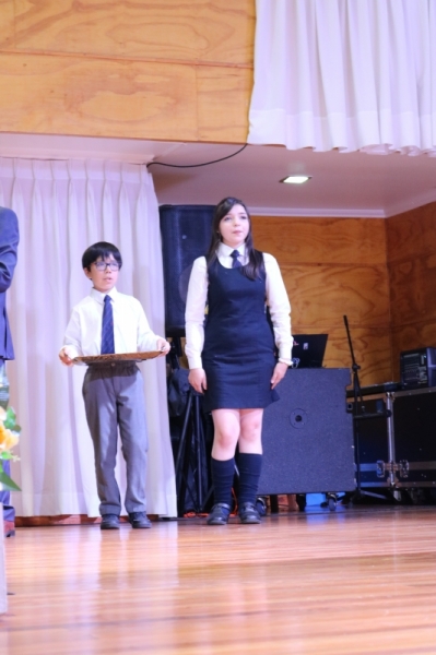 Licenciatura de los Octavos Años Básicos