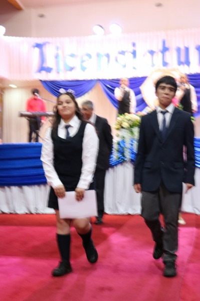 Licenciatura de los Octavos Años Básicos