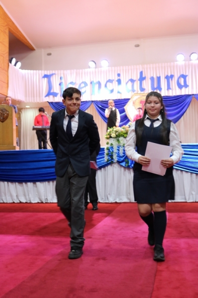 Licenciatura de los Octavos Años Básicos