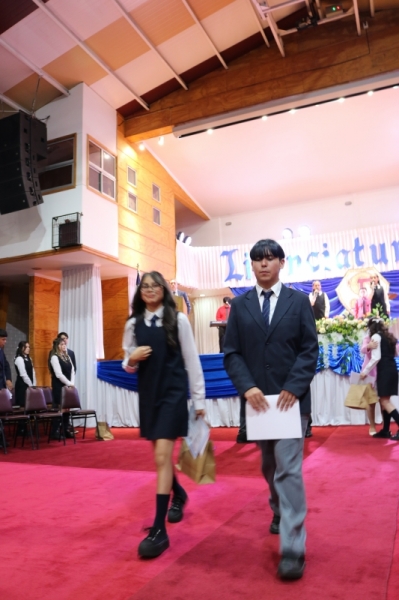 Licenciatura de los Octavos Años Básicos