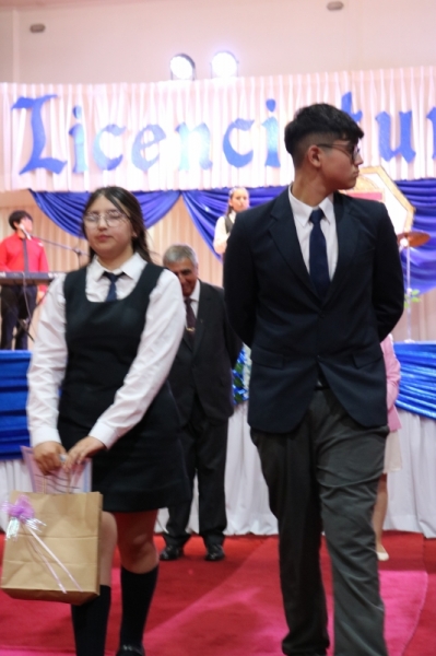 Licenciatura de los Octavos Años Básicos