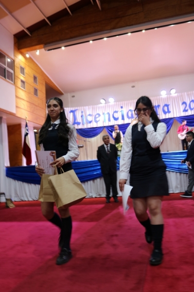 Licenciatura de los Octavos Años Básicos