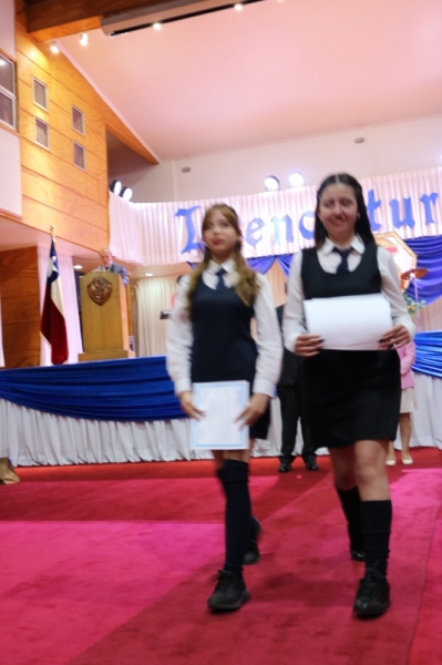 Licenciatura de los Octavos Años Básicos