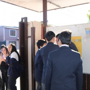 Licenciatura de los Octavos Años Básicos