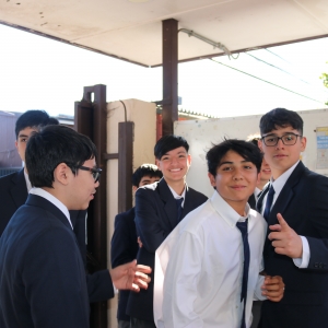 Licenciatura de los Octavos Años Básicos