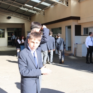 Licenciatura de los Octavos Años Básicos