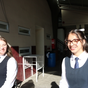 Licenciatura de los Octavos Años Básicos