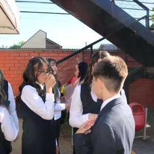 Licenciatura de los Octavos Años Básicos