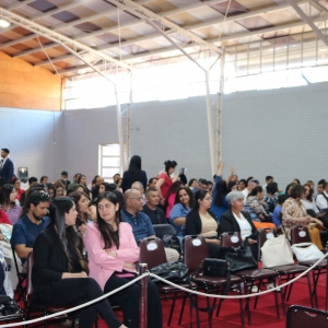 Licenciatura de los Octavos Años Básicos