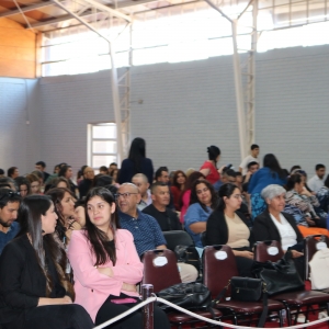 Licenciatura de los Octavos Años Básicos