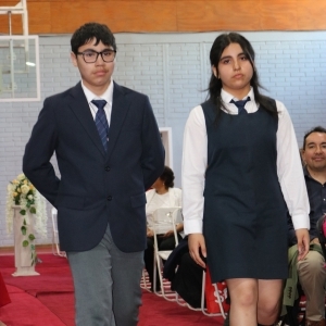 Licenciatura de los Octavos Años Básicos