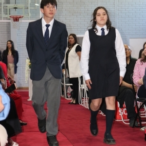 Licenciatura de los Octavos Años Básicos