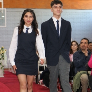 Licenciatura de los Octavos Años Básicos