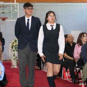 Licenciatura de los Octavos Años Básicos