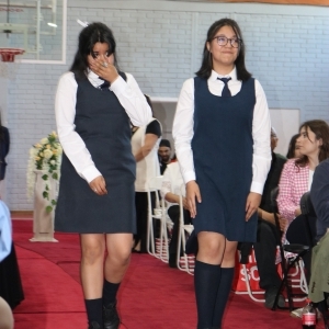 Licenciatura de los Octavos Años Básicos