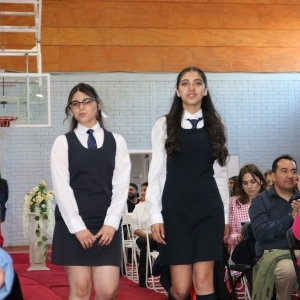 Licenciatura de los Octavos Años Básicos