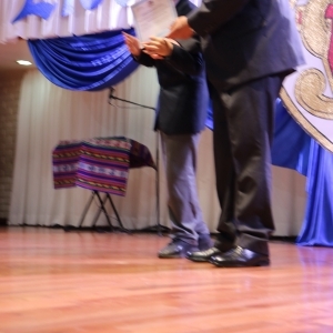 Licenciatura de los Octavos Años Básicos