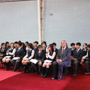 Licenciatura de los Octavos Años Básicos