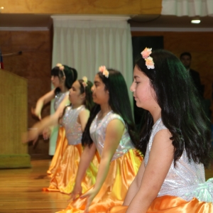 Licenciatura de los Octavos Años Básicos