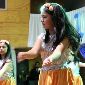 Licenciatura de los Octavos Años Básicos