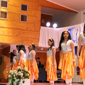 Licenciatura de los Octavos Años Básicos