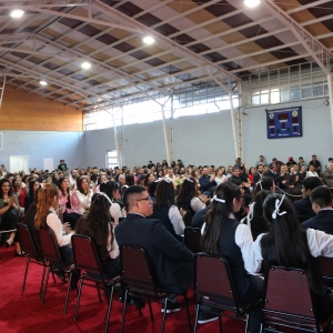 Licenciatura de los Octavos Años Básicos