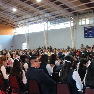 Licenciatura de los Octavos Años Básicos