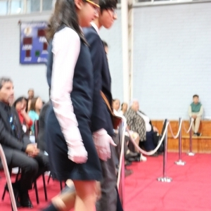 Licenciatura de los Octavos Años Básicos