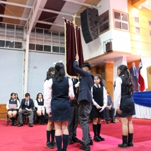 Licenciatura de los Octavos Años Básicos