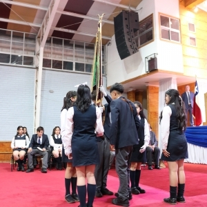 Licenciatura de los Octavos Años Básicos