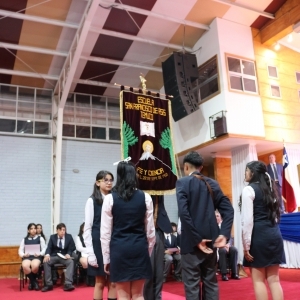 Licenciatura de los Octavos Años Básicos