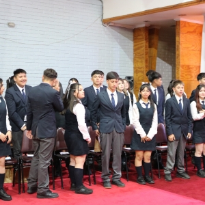 Licenciatura de los Octavos Años Básicos