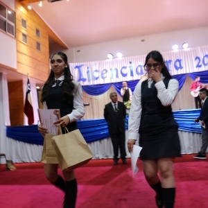 Licenciatura de los Octavos Años Básicos